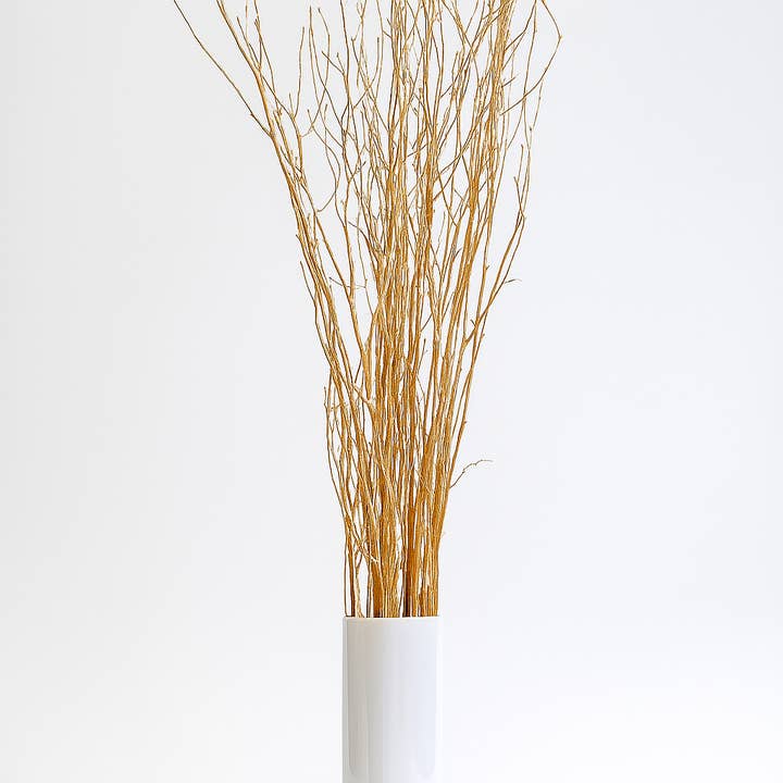Metalliskt guldmålade 4-fots björkgrenar - 10-pack bunt för wholesale av GS Foliage