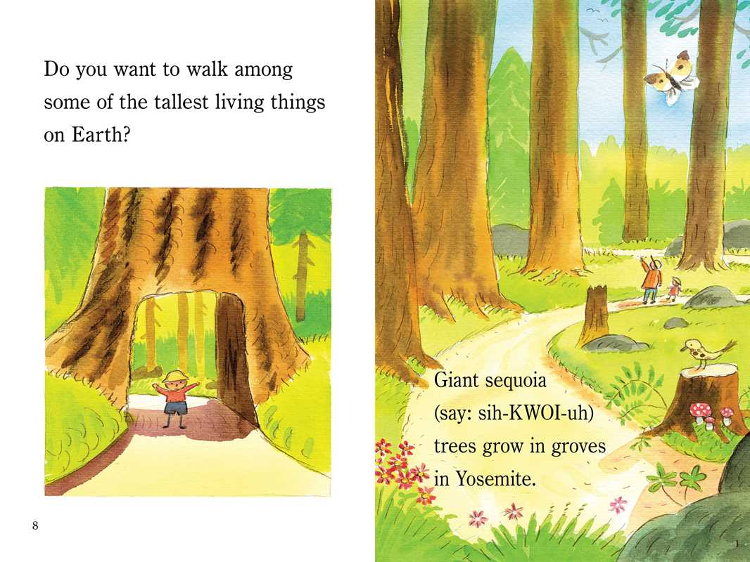 Simon & Schuster - Wholesale Early Reader Book (6-8) - Yosemite by Marion  Dane Bauer3