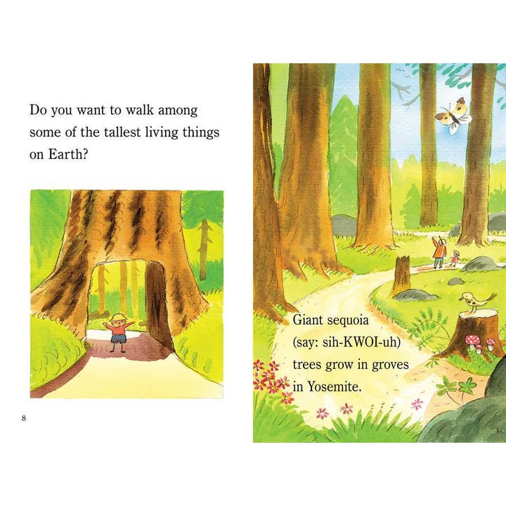 Simon & Schuster - Wholesale Early Reader Book (6-8) - Yosemite by Marion Dane Bauer3