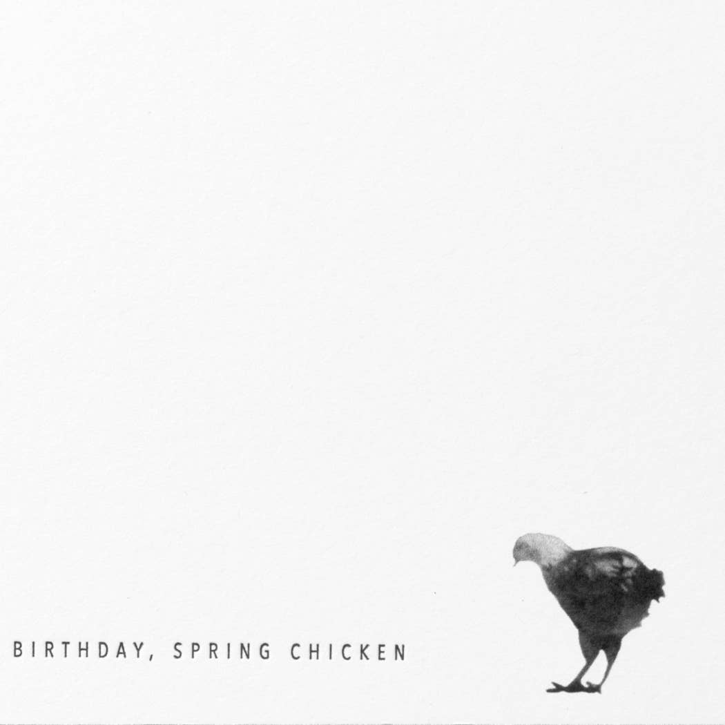 Embued Photophiles – Großhandel Geburtstagskarten – Hühnchen Happy Birthday, Spring Chicken Karte4