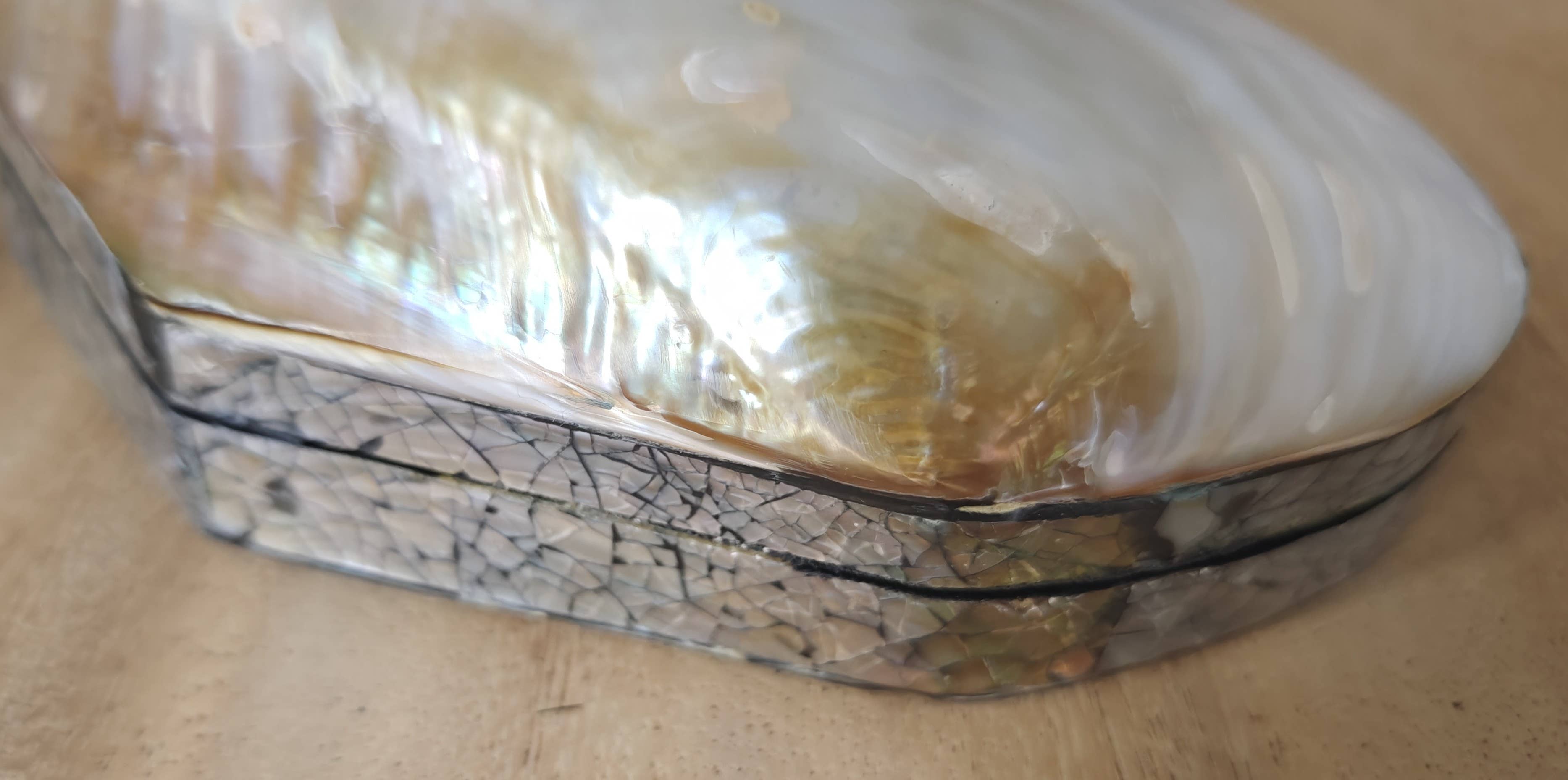 Product Import Holland – Engroshandel Bordpynt – Smykkeskrin Kupang med naturinspireret skaller fra kysten1