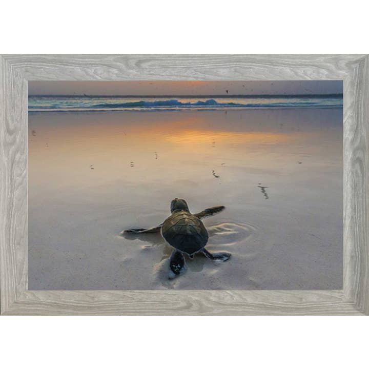 16763 for wholesale by Coastline Art