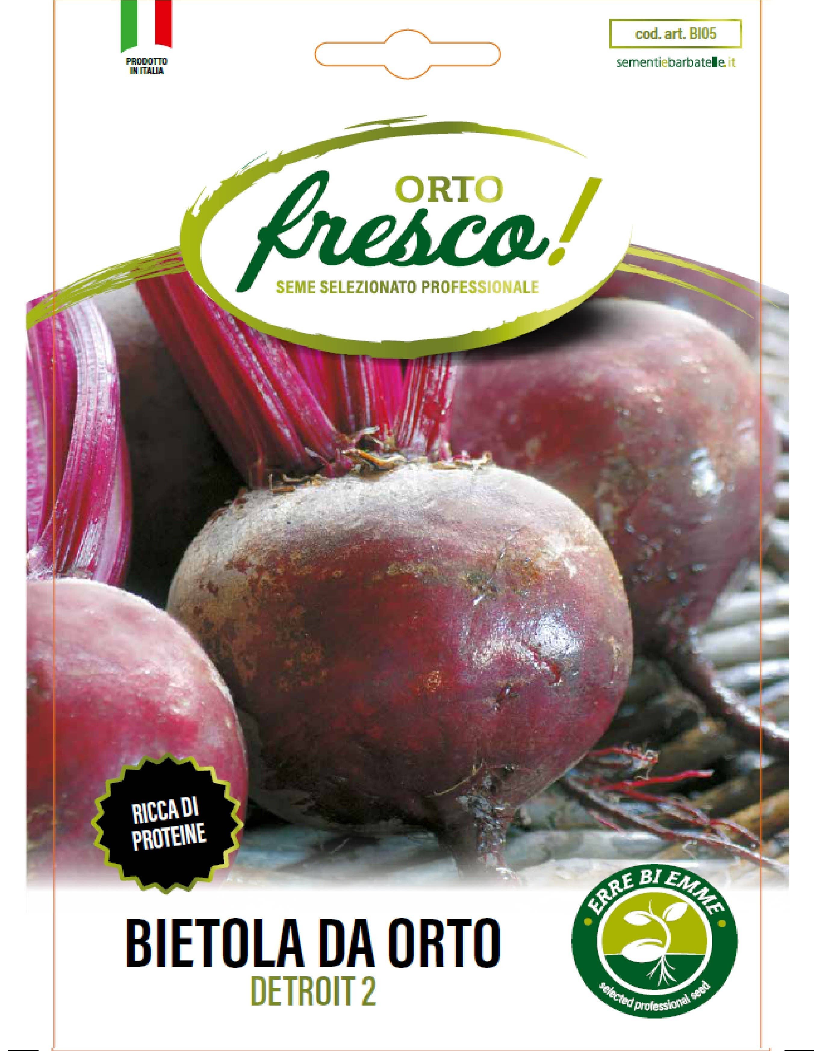 Sementi & Barbatelle - Wholesale Plant Seeds - Detroit 2 Garden Beet0