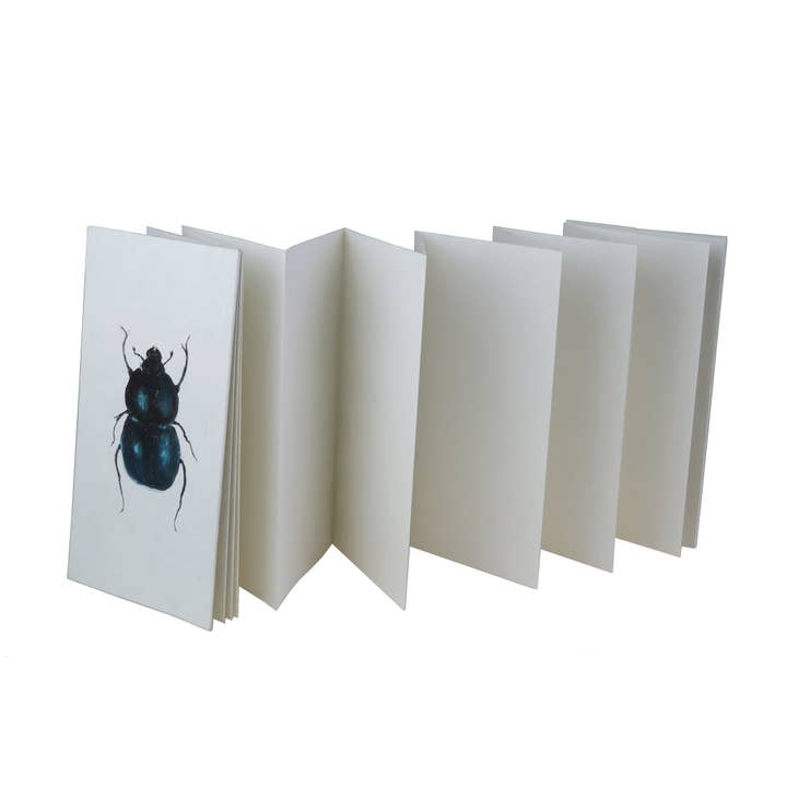 Epigram - Wholesale Sketchbook/sketchpad - Leporello parchment cabinet of curiosity butterfly, beetle