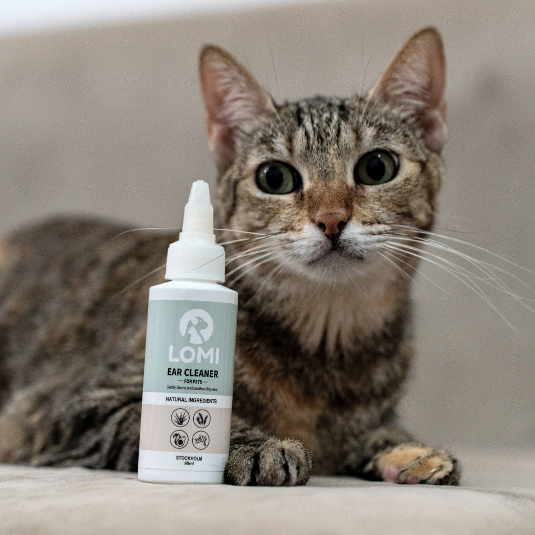 LOMI Pet Care - Wholesale Pet Cleaning Supplies - NATURAL EAR CLEANER SHORT DATE CLEARANCE – 80% OFF10