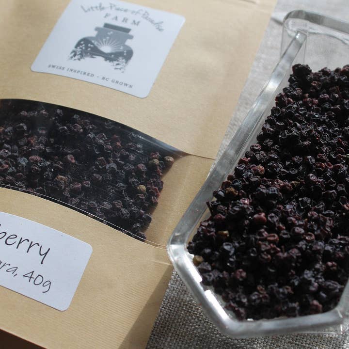 Baga de Sabugueiro Biológico, Sambucus nigra, Medicina das Ervas Agrícolas Sustentáveis por atacado de Little Piece of Paradise Farm Inc.