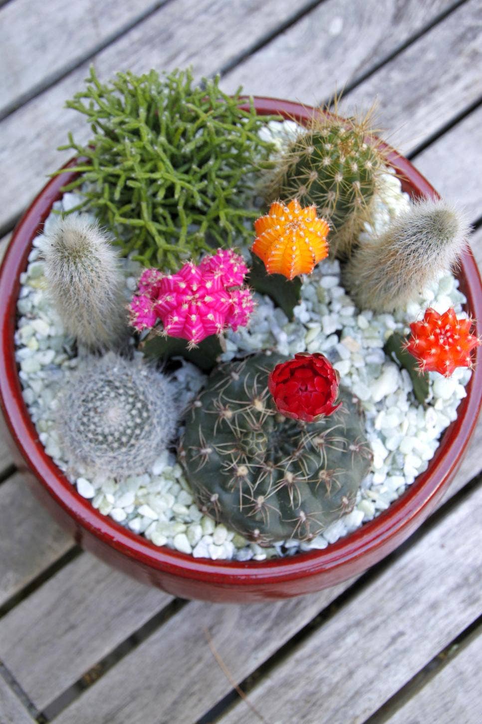 GJE Terracotta - Wholesale Plant Pot - Glazed Terracotta Planter Pot Succulent Dish Cactus Bowl10"2