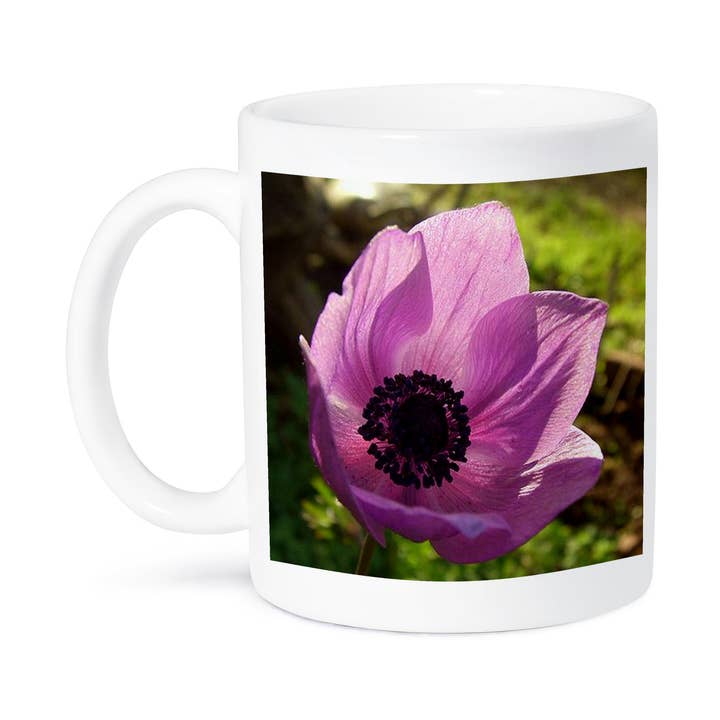 3dRose - Wholesale Coffee Mug - 3dRose, Anemone Coronaria - anemone coronaria, poppy anemone, spanish marigoldanemone, meadow anemone, Mug8