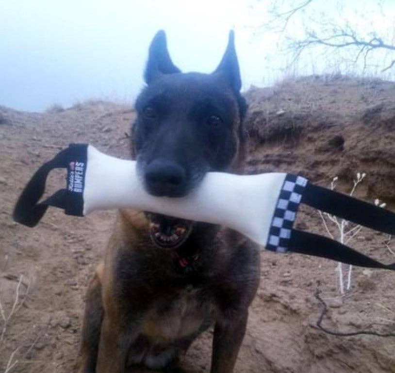 Katie's Bumpers - Vendita all'ingrosso Giocattolo di corda - Cani - Best KB Double Tug - Gioco da Tiro per Cani6