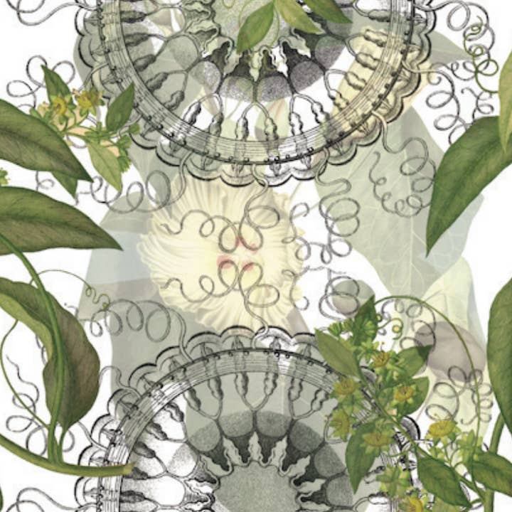 Nappes «Kaos» 100 % Fabriqué en Italie pour la vente par The Napking