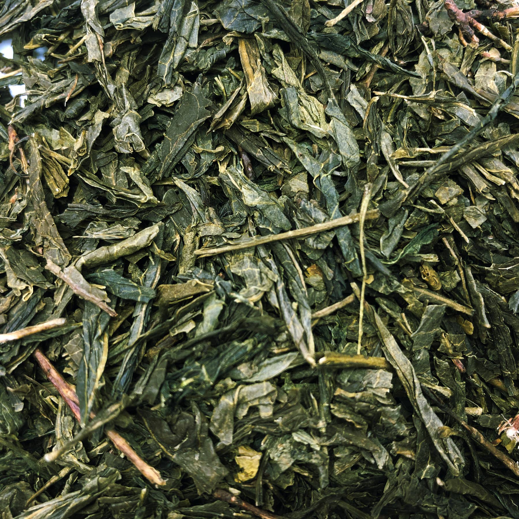 ABALORI - Wholesale Loose Tea - Buy Sencha green tea - 100 grams2