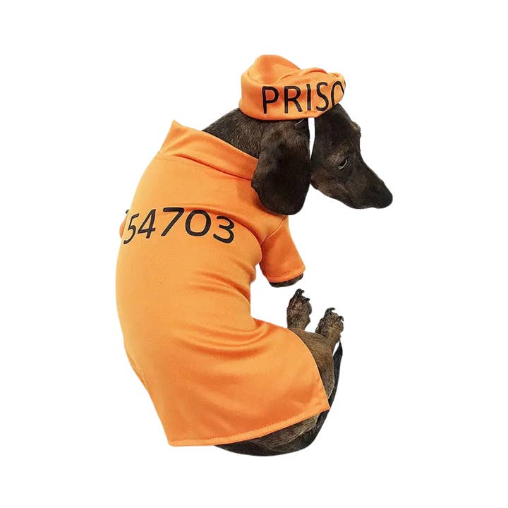 Midlee Designs - Vente Déguisement – chien - Déguisement de prisonnier Midlee Orange2