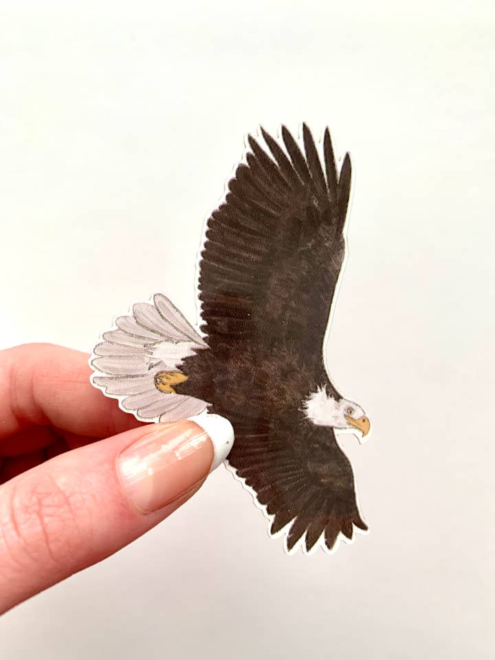 Bald Eagle for wholesale by Little Rocks Design