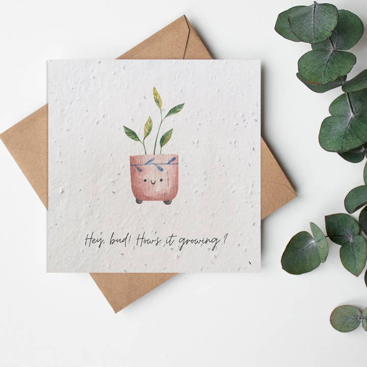 Biglietto di auguri SQ Seed Paper - Plant Pun - Hey bud! per la vendita all'ingrosso da parte di Little Green Paper Shop