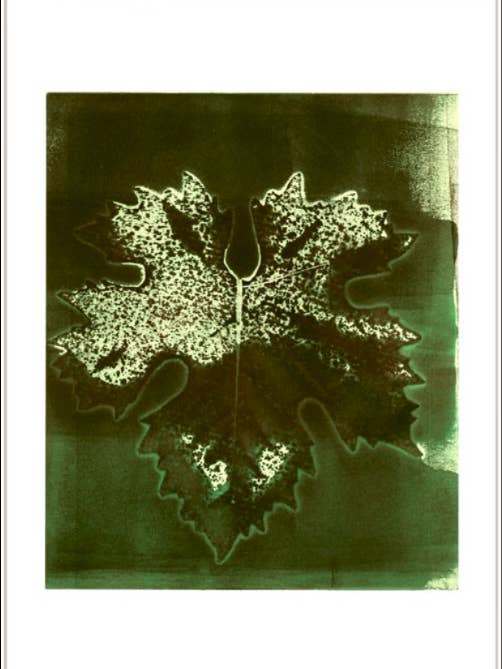 Feuille simple sur vert pour la vente par Finalina