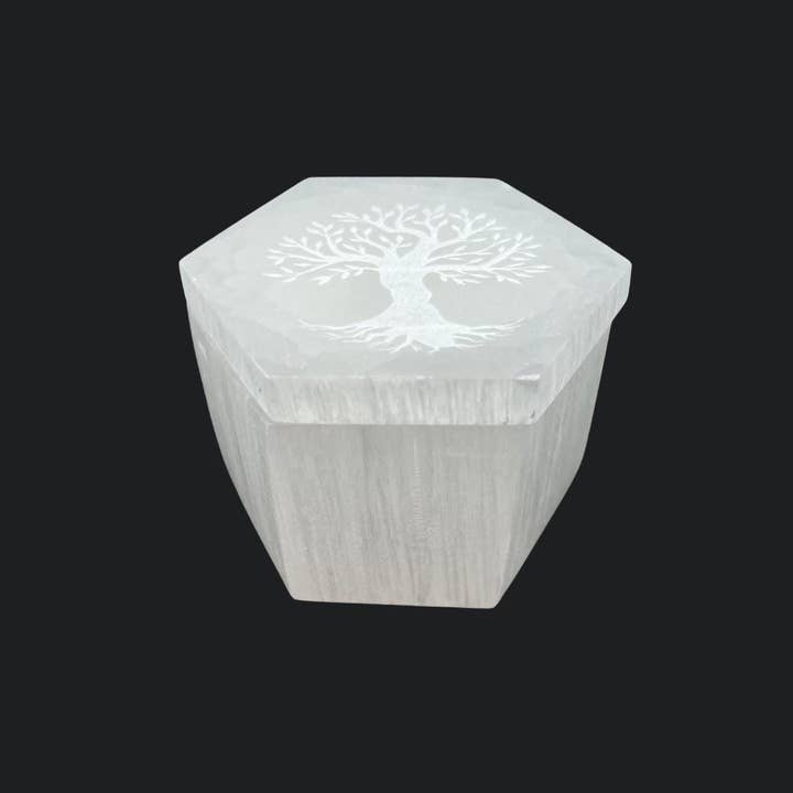 Crystal River Gems LLC - Vendita all'ingrosso Scatole decorative - Scatola Esagonale in Selenite con Albero della Vita Intagliato sul Coperchio
