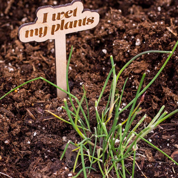 The Print Pantry - Wholesale Garden/Lawn Stake - Funny Wooden Plant Markers
