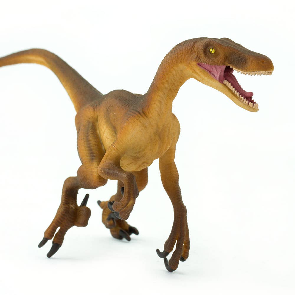 Safari Ltd. - Wholesale Figurine Toy - Kids - Velociraptor Figurine Toy - Kids2