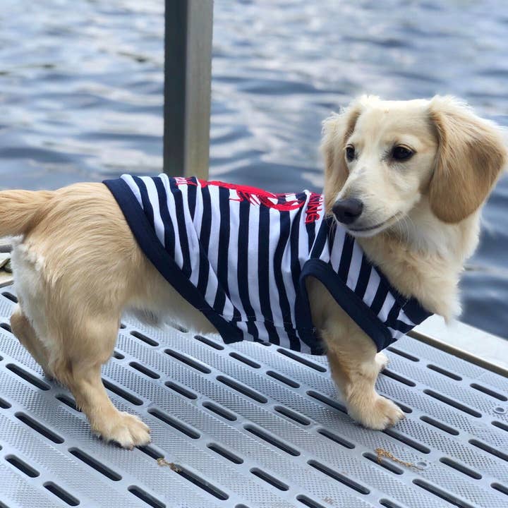 Parisian Pet® - Wholesale Pet Shirt - Dog - Lobster Chasing Tail Dog T-Shirt – Funny Shirt for Pets