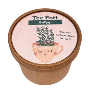 Sage Teapot Growing Set for wholesale by Wunderle GmbH