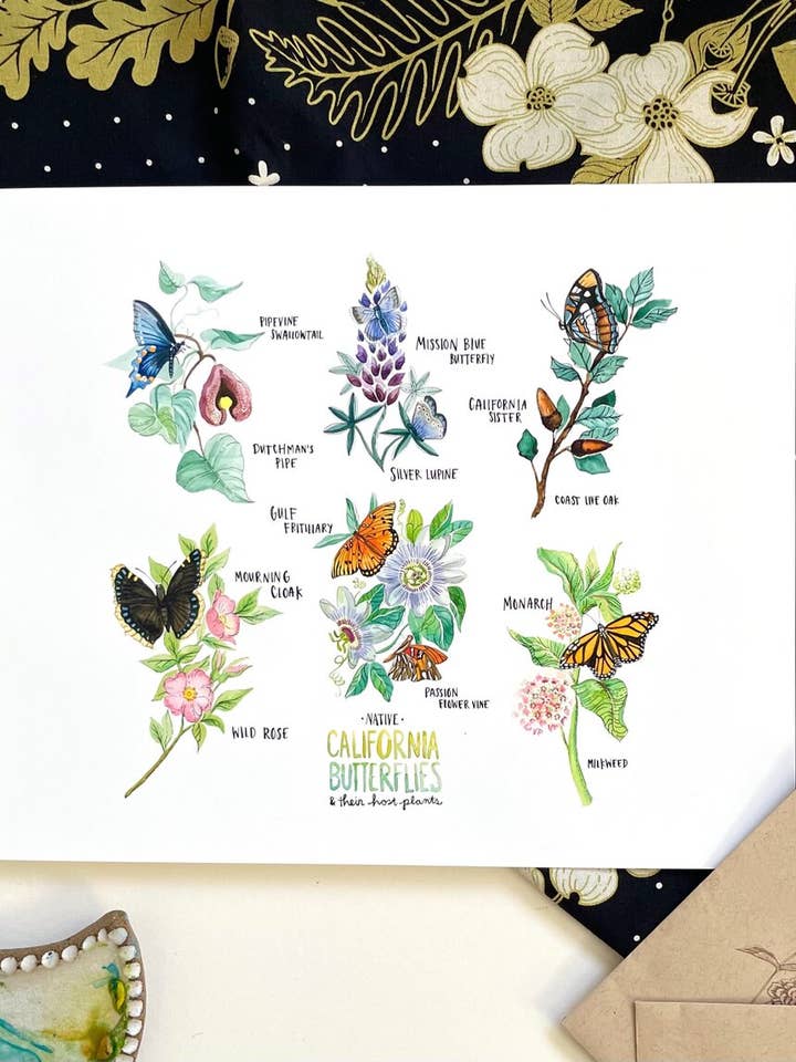 California Butterflies Kunstdruk voor wholesale door Botanical State of Mind