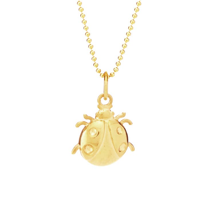 Ladybug for Prosperity for wholesale by Juju Supply Co.