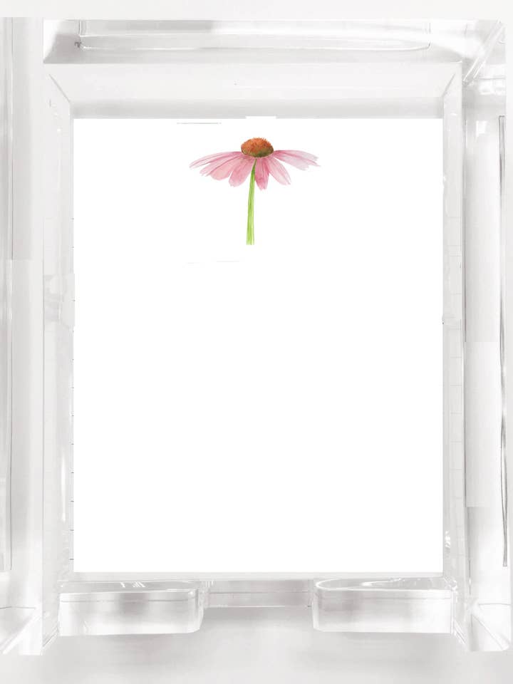 SNS182 Cone Flower for wholesale by Stevie Streck Designs