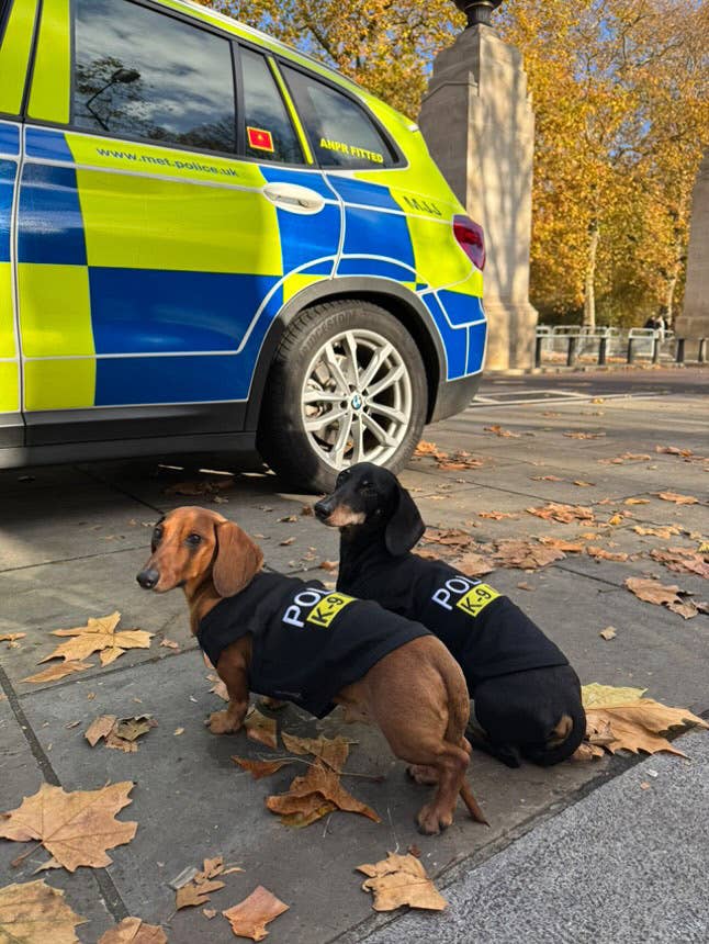 Parisian Pet® - Wholesale Pet Shirt - Dog - Police Dog T-Shirt – Fun and Unique Pet Apparel6