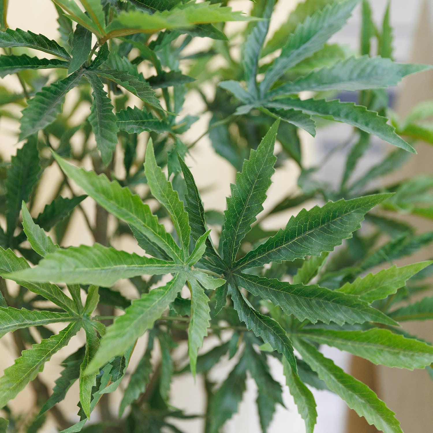 MinxNY - Wholesale Artificial Plant - 50.25"H Cannabis plant, with Rope basket2