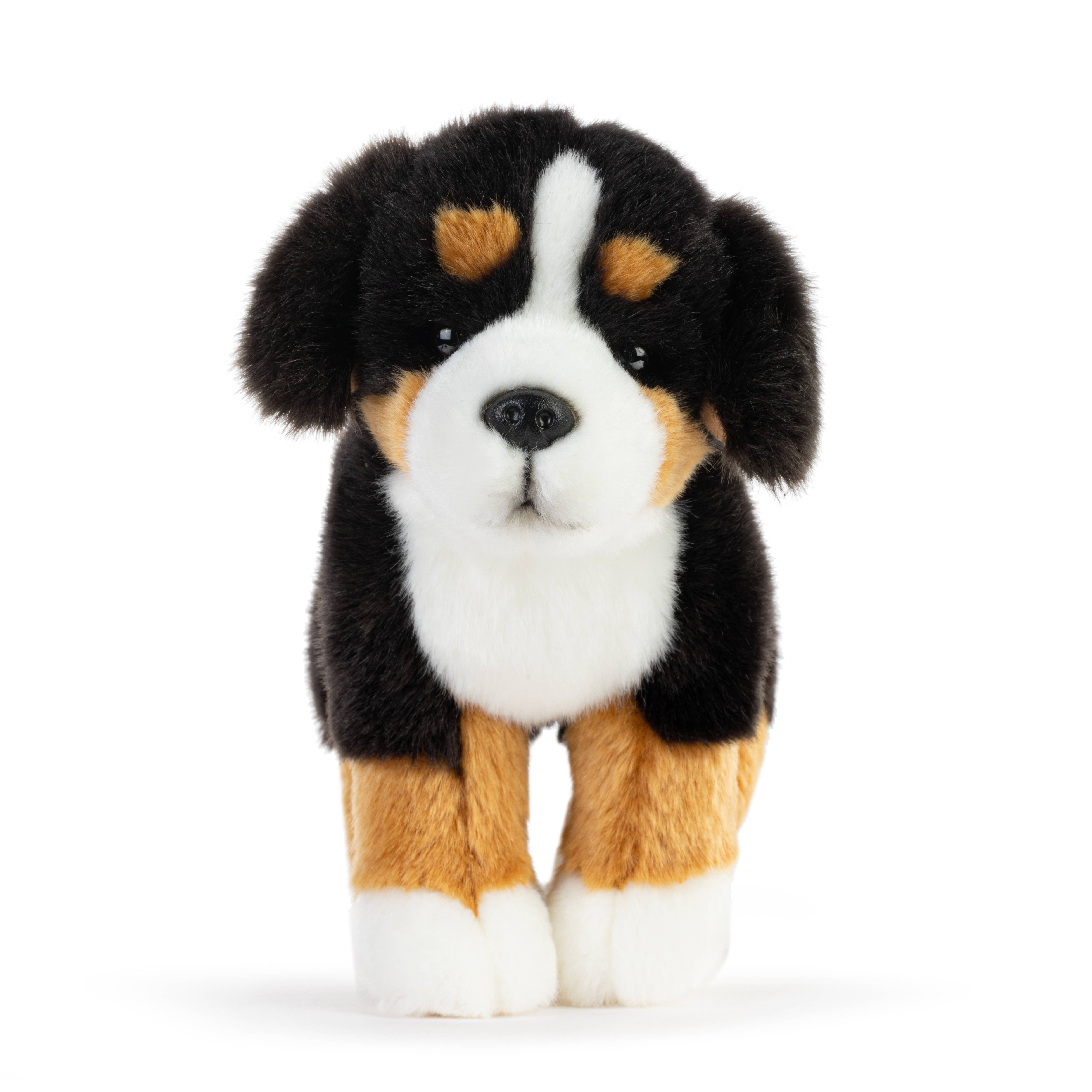 DEMDACO - Wholesale Stuffed/Plush Toy - Kids & Baby - Bernese Mountain Dog Small0