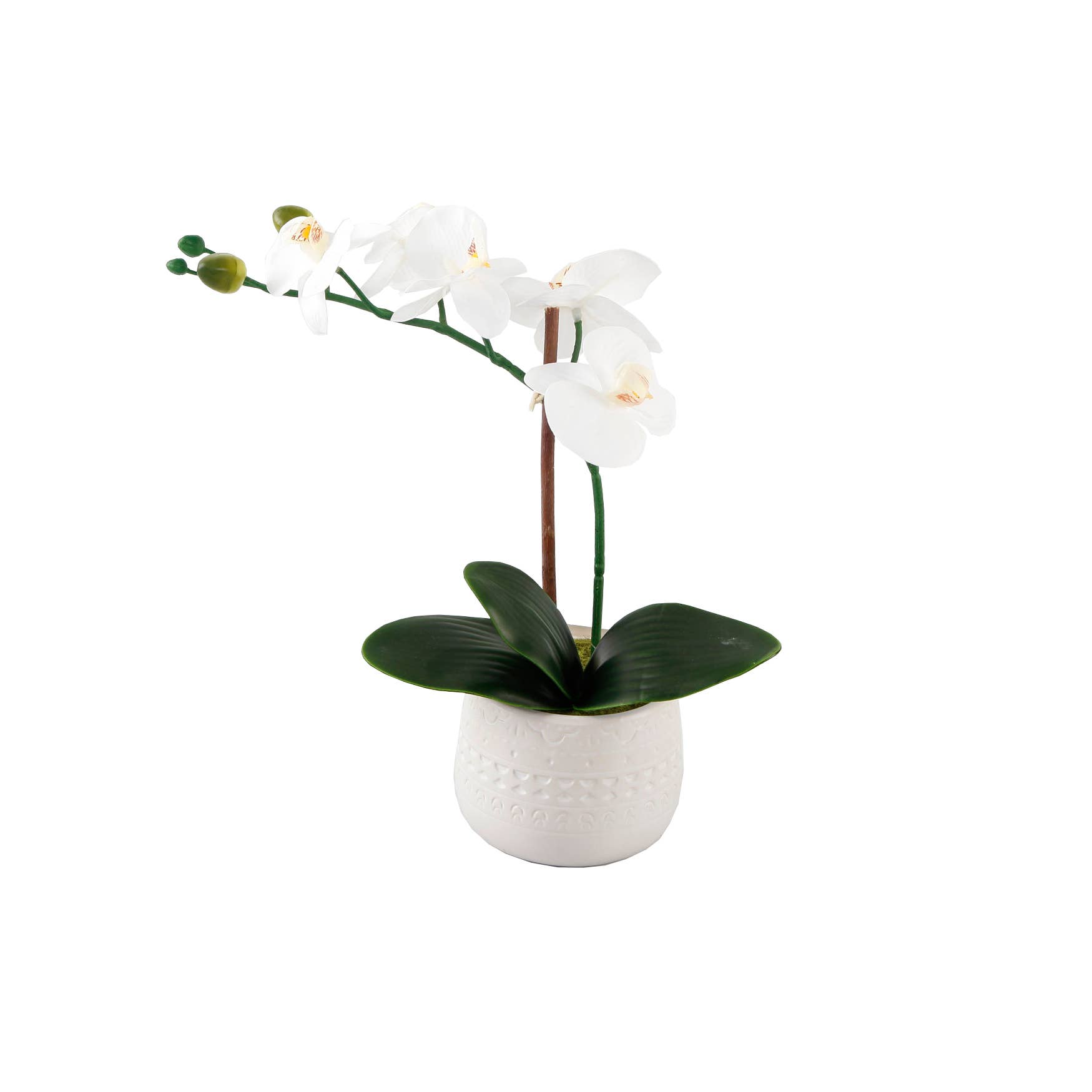 Flora Bunda Inc - Wholesale Artificial Flowers - 12" White Orchid in Textured Ceramic Pot Décor