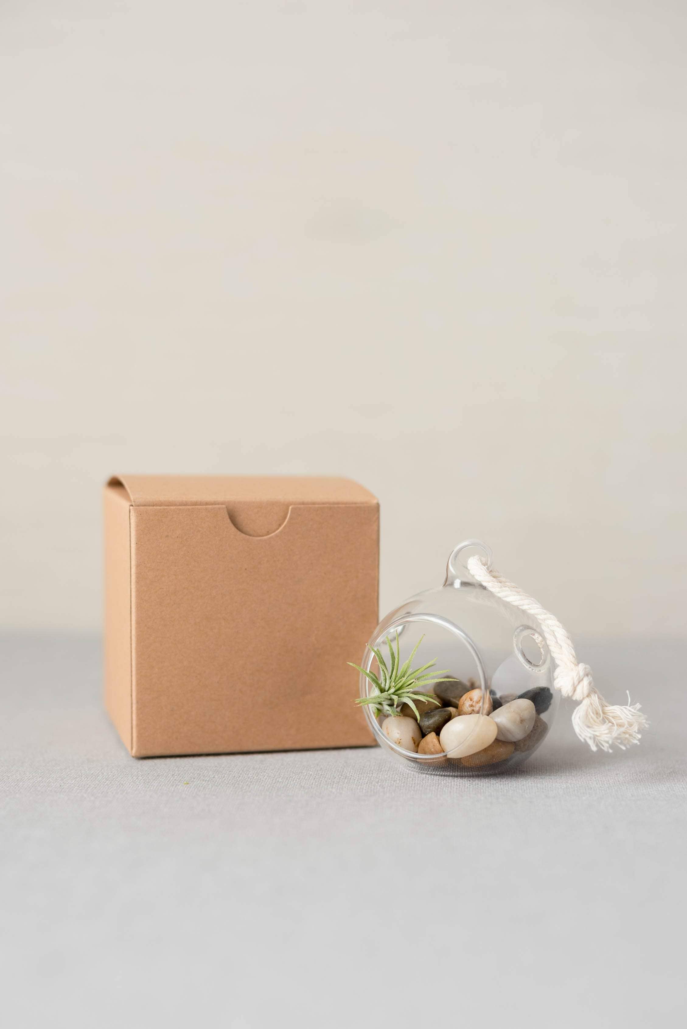 The Simply Crafty Shop - Wholesale Terrarium - Mini Bubble Terrarium Kit- Semi-Precious Stone25