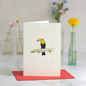 Toucan greeting card with wool | 3-d effect | Everyday for wholesale by Papersheep UK