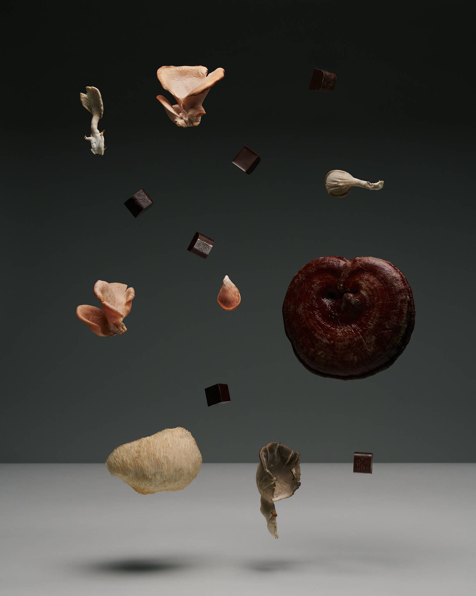 NOON WORLD - Wholesale Chocolate - NOON Chocolate Delights • In The Zone6