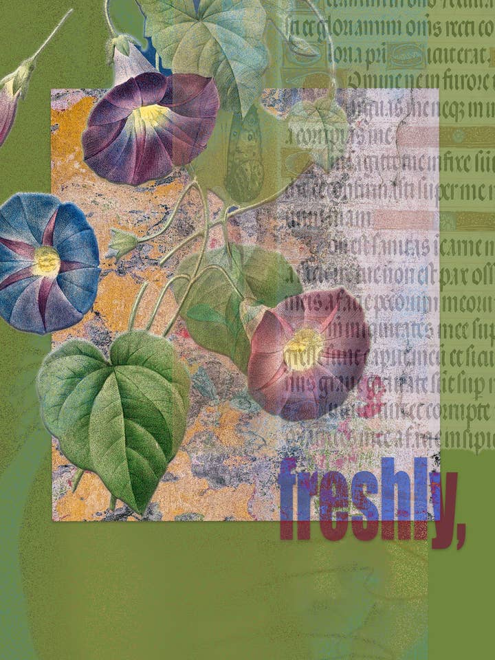 Freshly ~ Giclée Art Print for wholesale by VivaTheCircle