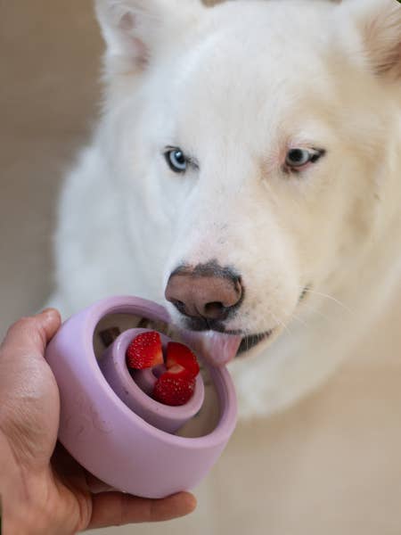 INOOKO - Wholesale Speeltje - Hond - Yoomy Wobble - Hondenspeelgoed met Bezigheidsfunctie - Sky7