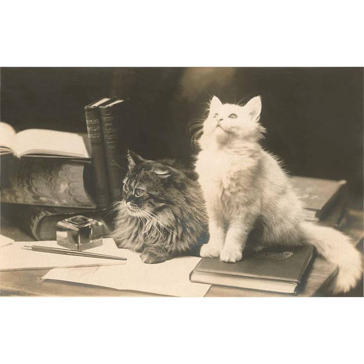 Found Image Press - Wholesale Sticker - Sticker LT-342 Untitled