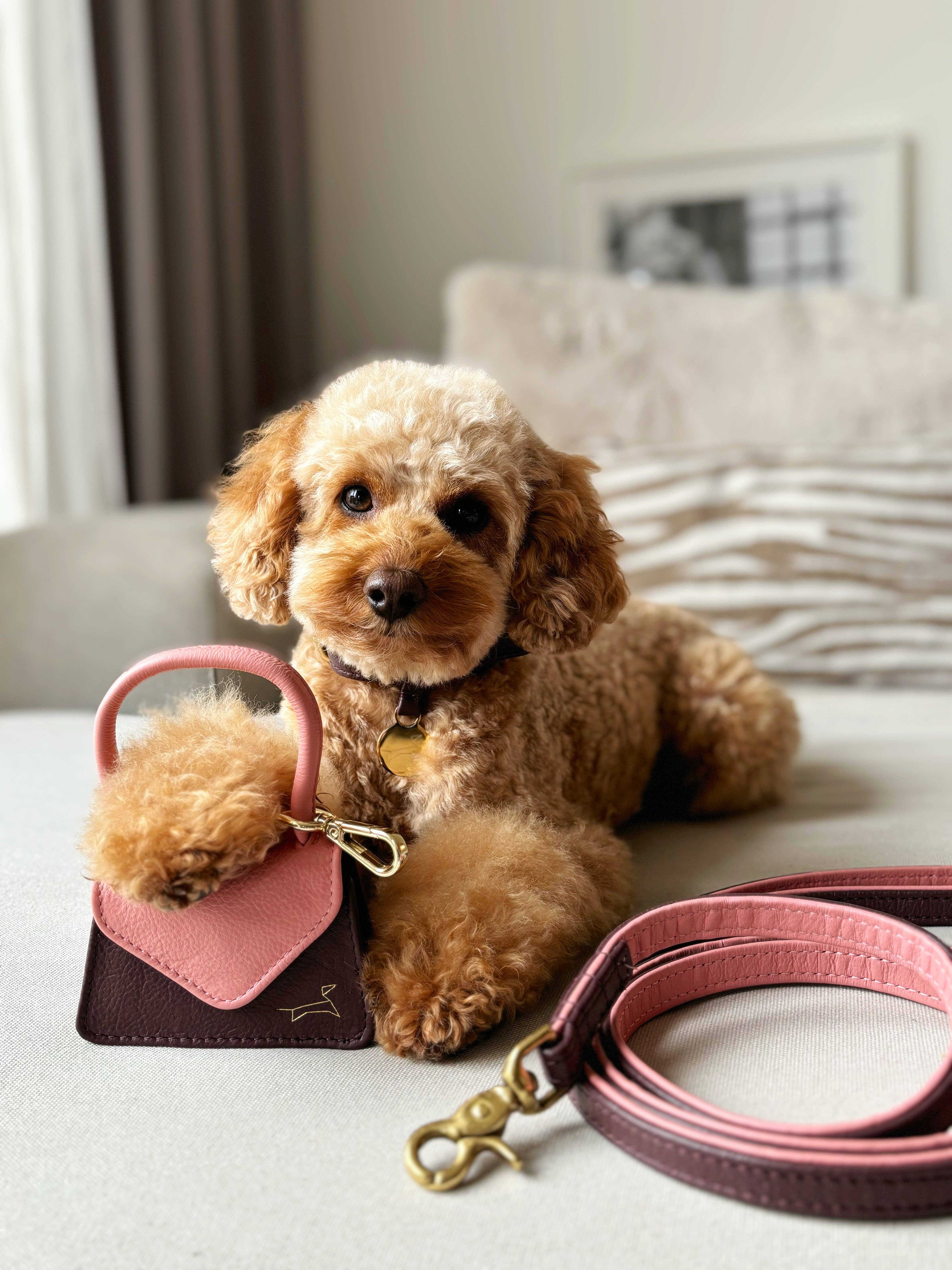 The Dog Musthaves - Wholesale Pet Treat Bag - Dog - The Dog Musthaves Two Tone – Blush Bag