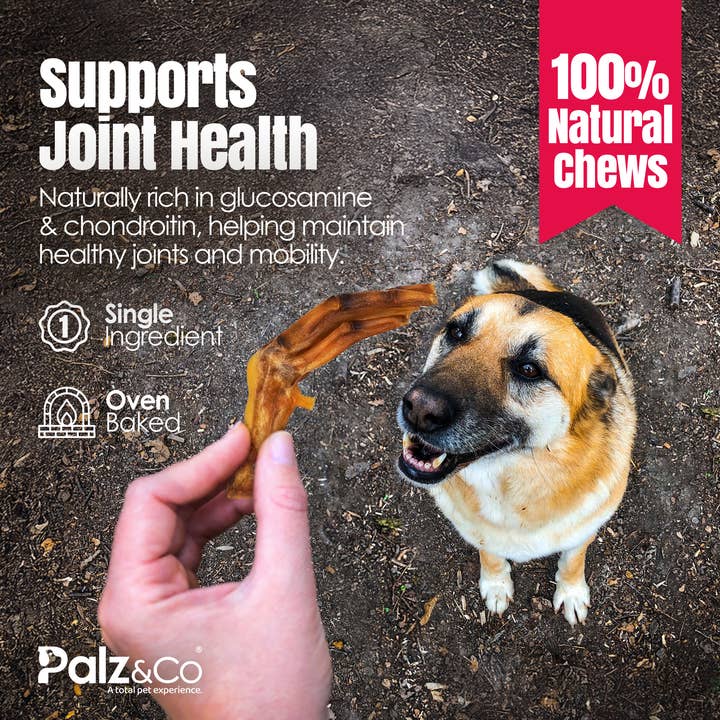 Palz&Co - Wholesale Pet Treats - Dog - Birddog Duck Feet (no nails) - Pack of 10 & 3510