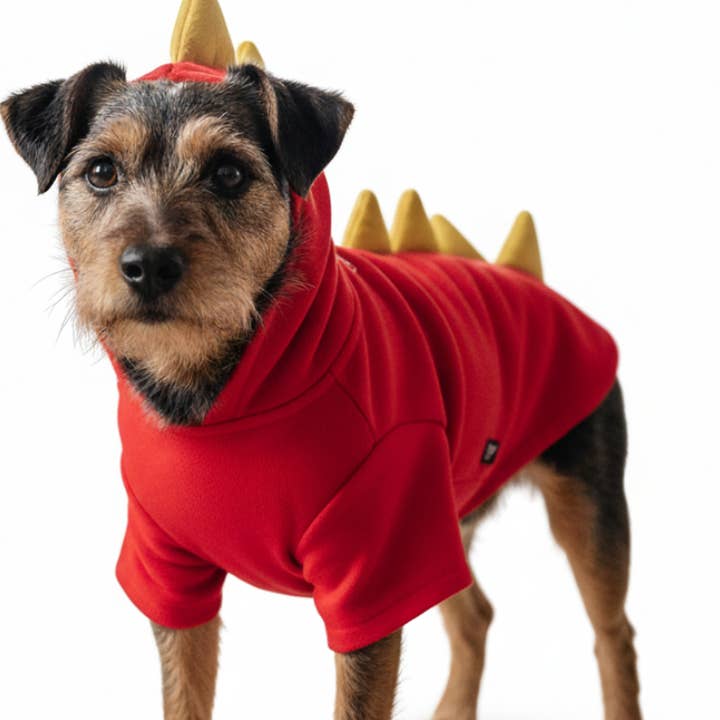 Sweatshirt dragon pour chien pour la vente par Dogo Pet