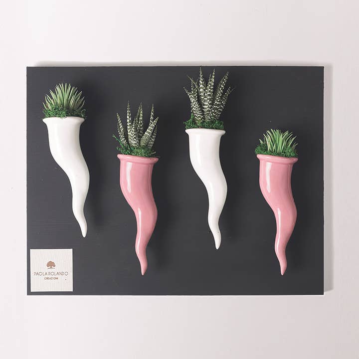 Set 4 Piante Grasse In Cornetti Di Ceramica Su Quadro per la vendita all'ingrosso da parte di Paola Rolando Creazioni