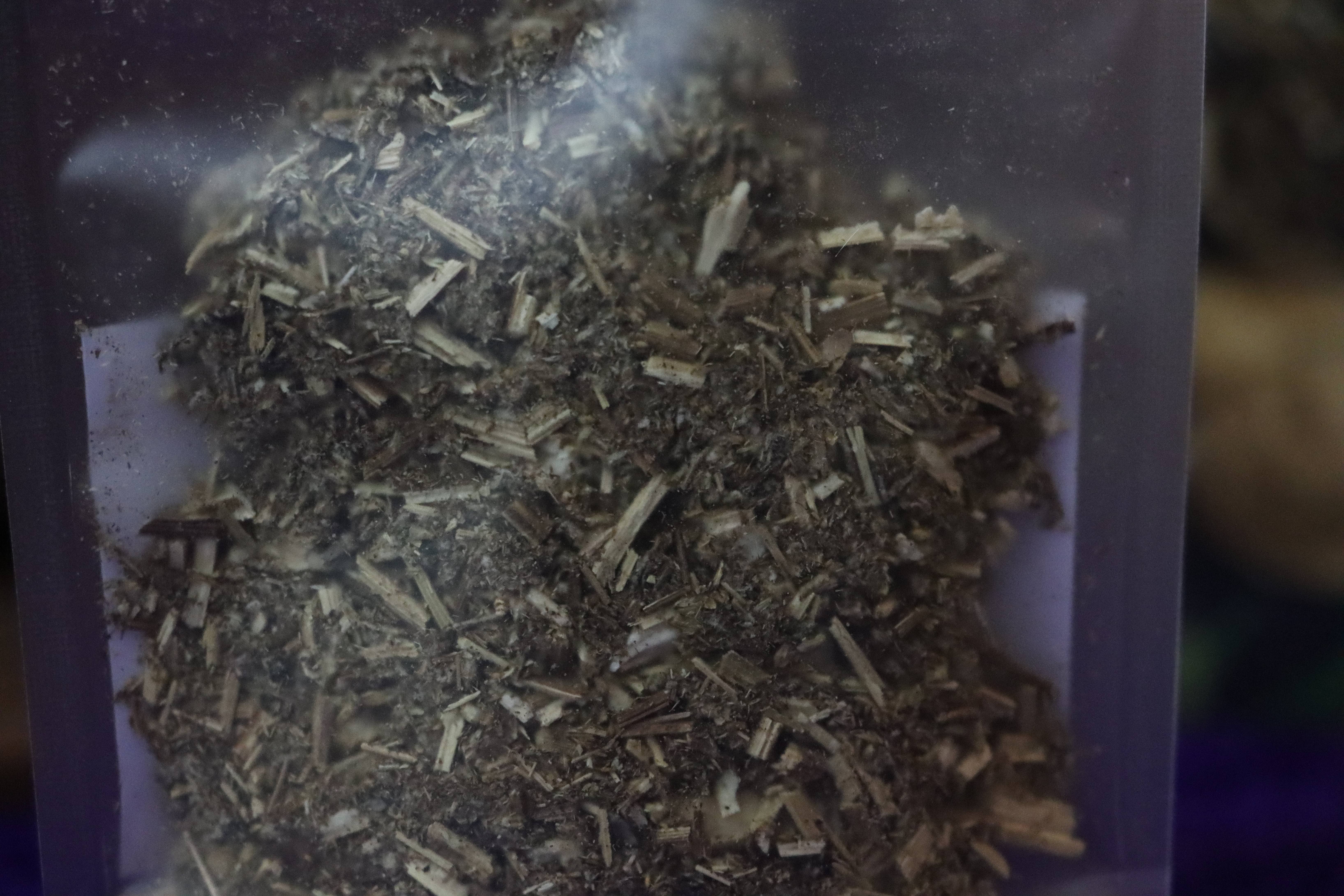 The Rouge and Raven – Ervas por atacado – Erva Seca de Artemísia para Uso Espiritual2