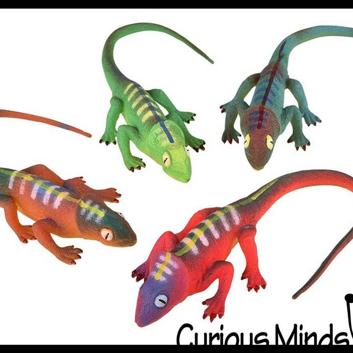 Curious Minds Toys – wholesale Fidget Toy - Barn – 1 Jumbo odla en ödla i vatten - tillsätt vatten och det växer upp