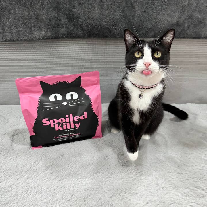 Spoiled Pets - Wholesale Pet Food - Cat - Chicken and Salmon Balanced Bowl2