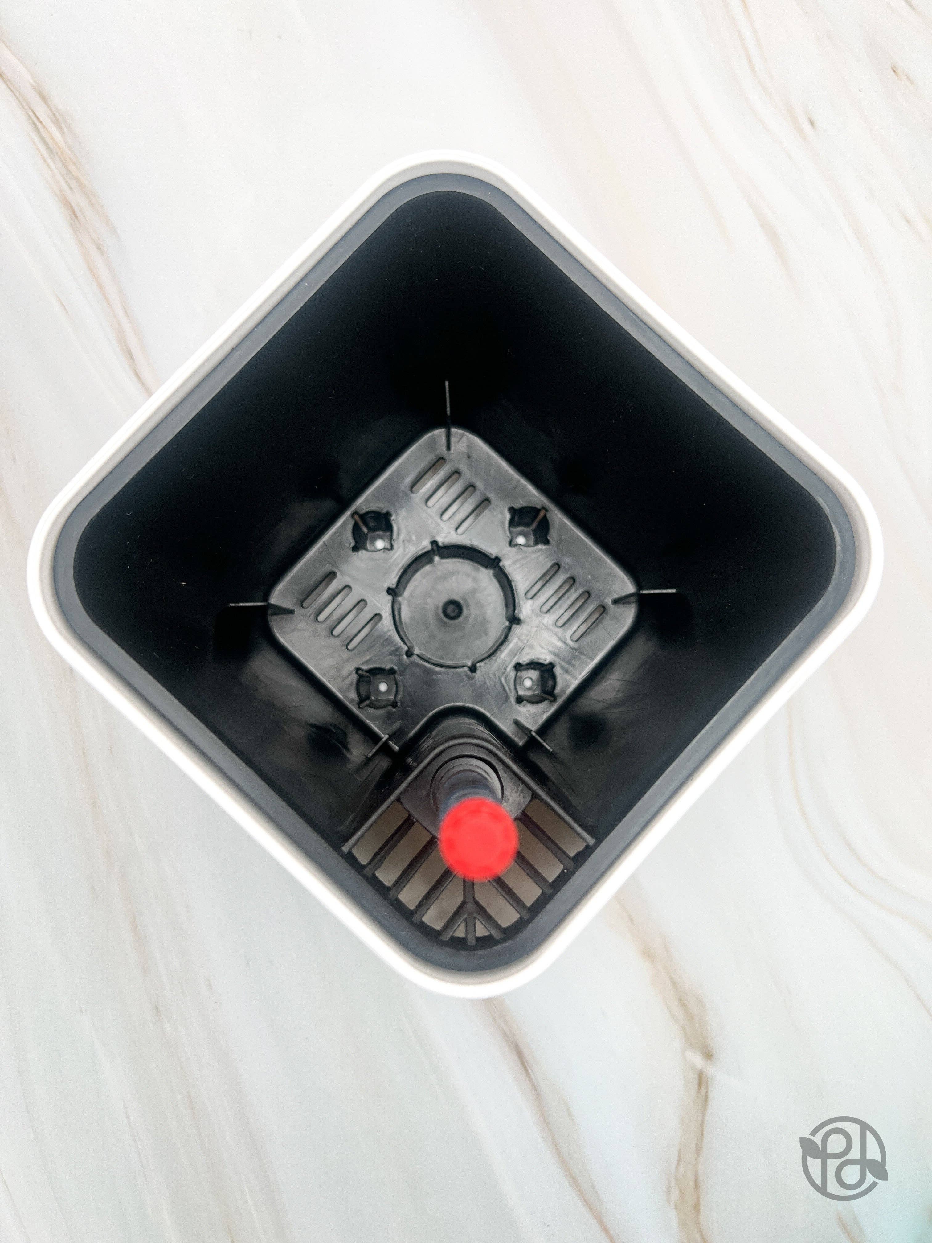 Propagation Diaries - Wholesale Plant Pot - 6" Self Watering Moo Pot1