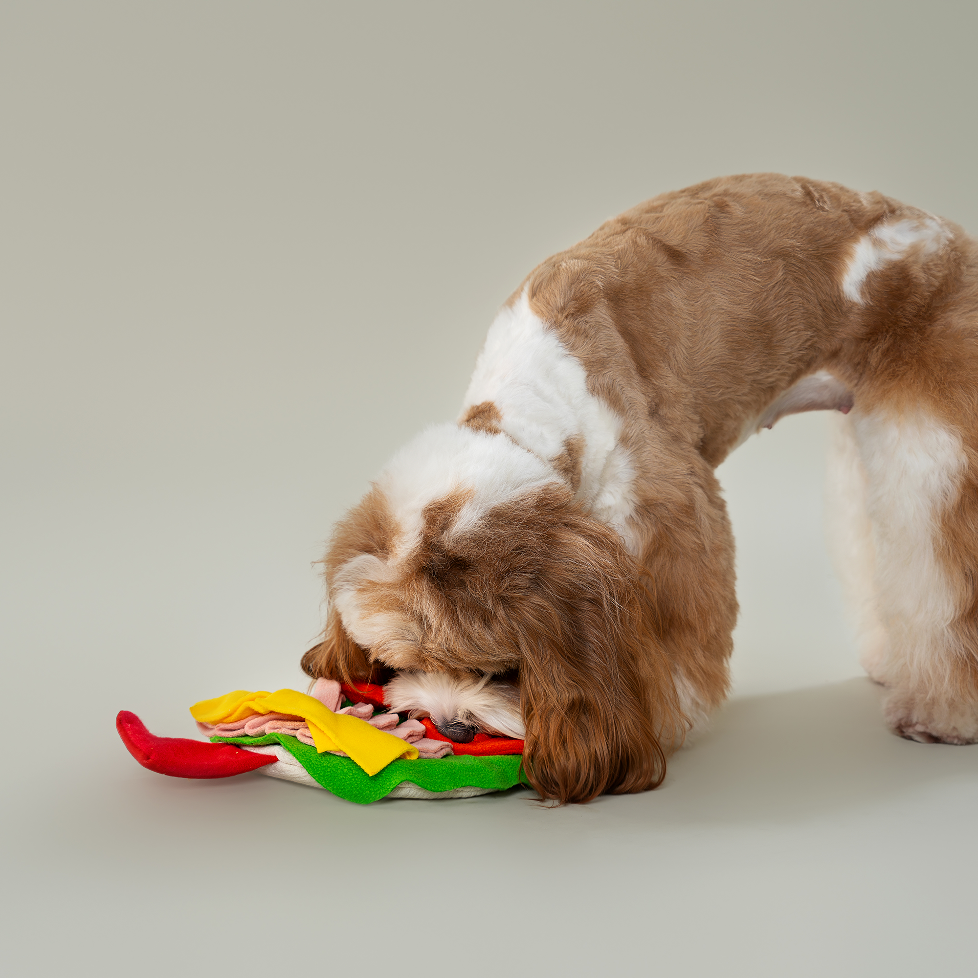 CHEWFFON – wholesale Pet plush toy – Dog – CHEWFFON Burrito Snuffle Toy3