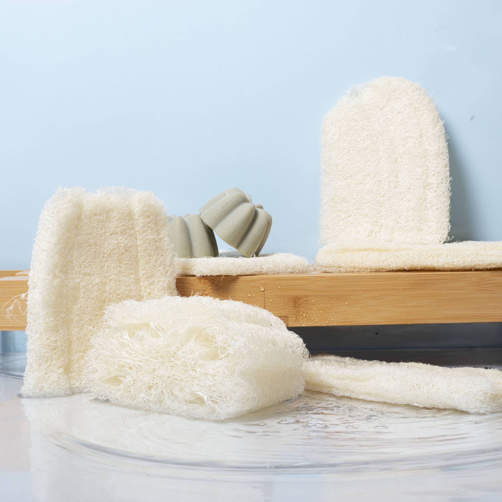 CHAMARREL - Wholesale Loofah - Raw loofah | Sustainable sponge6