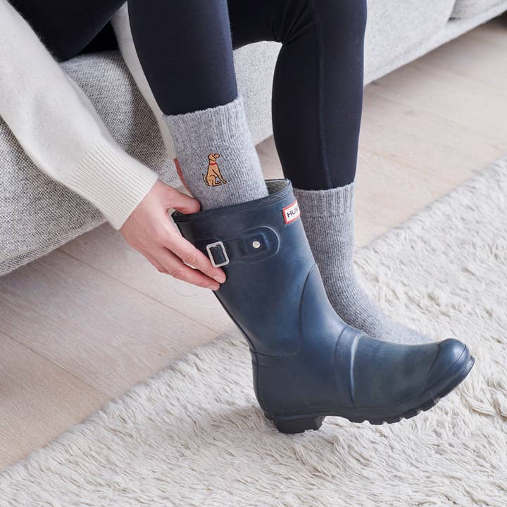 Sweet William Designs - Wholesale Socks - Unisex - Dog Walking Socks - Vizsla