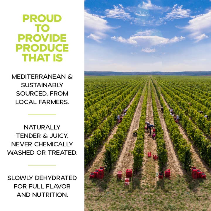 DRYBOX - Vendita all'ingrosso Frutta secca/disidratata - Uvetta sultanina essiccata Drybox, 1 kg x 3 confezioni sfuse8