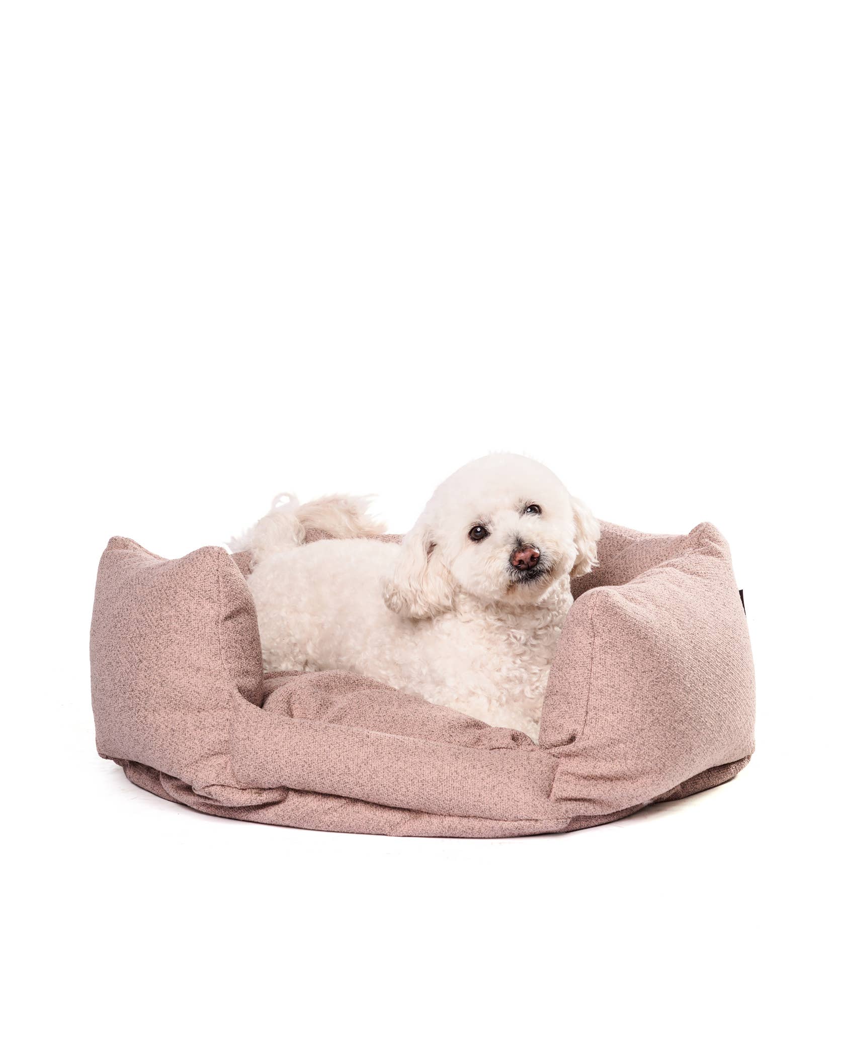 Roxbury PET - Vente Panier – chien - Le Câlineur de Dayton5